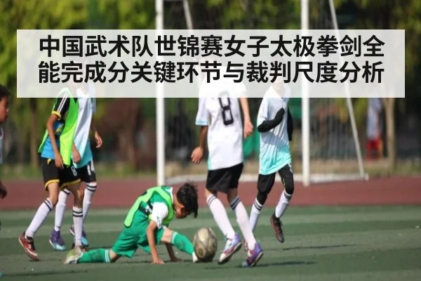 中国武术队世锦赛女子太极拳剑全能完成分关键环节与裁判尺度分析
